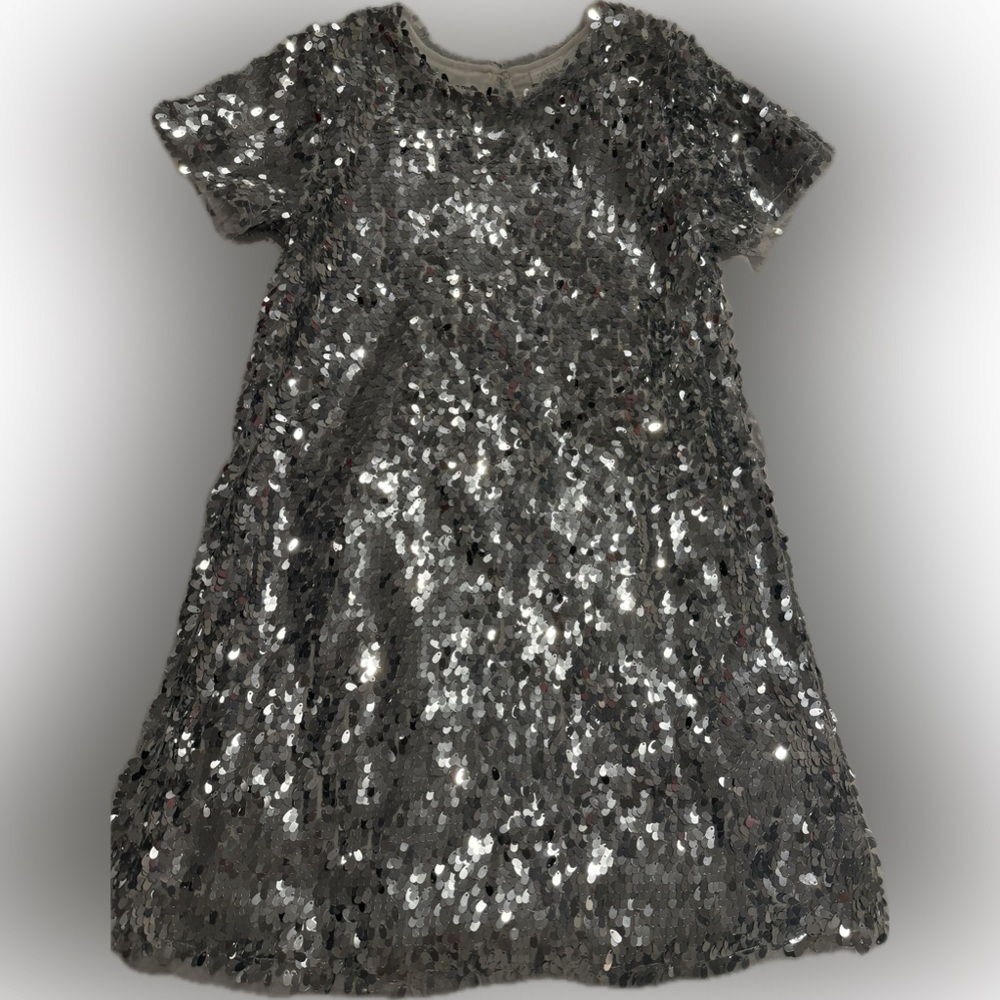 Zara Metallic Sequin a-line dress